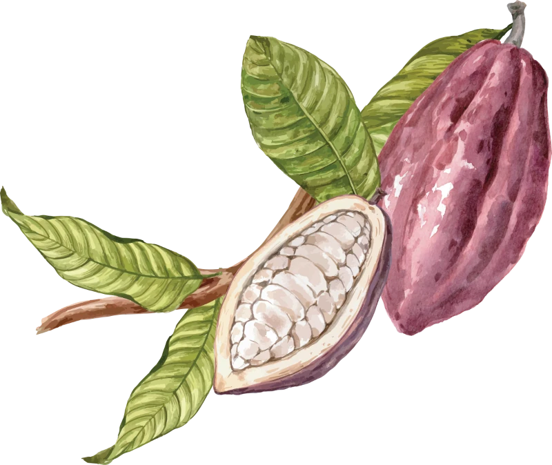 Secret de cacao Logo