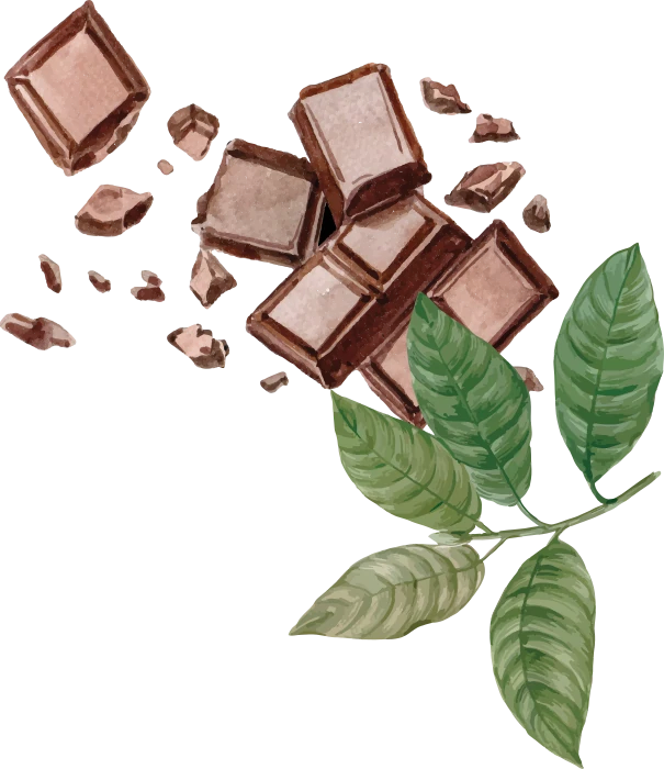 Secret de cacao Logo