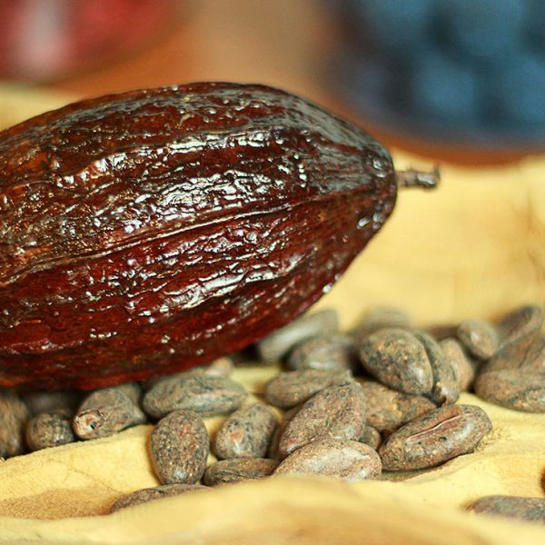 Fèves cacao