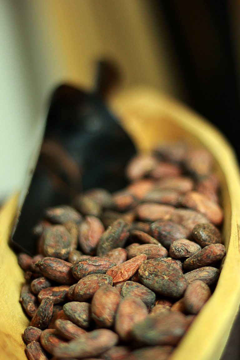 100% cacao